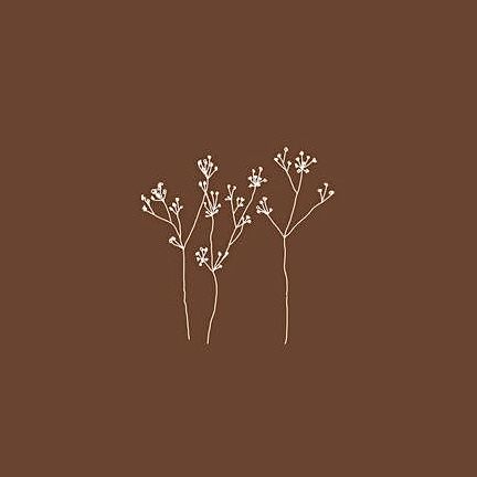 Tan Flower Wallpaper, Cute Brown Widgets, Brown Aesthetic Layout, Wallpaper Brown Aesthetic, Phone Wallpapers Vintage, Brown Image, Widget Design, Aesthetic Brown, Flower Icons