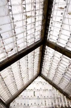 Interior view of the roof of a greenhouse made from recycled plastic bottles and timber Water Bottle Greenhouse, Greenhouse Plastic Bottles, Recycled Glass Greenhouse, Recycled Greenhouse, Bottle Greenhouse, Plastic Bottle Greenhouse, Corrugated Plastic Roofing, Plastic Bottle Tops, Plastic Roofing