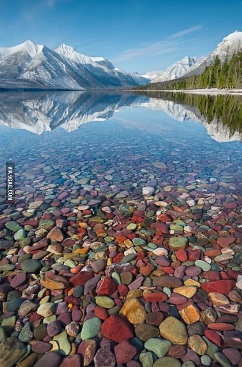 The crystal clear waters of Lake McDonald in Montana - 9GAG Pebble Shore Lake, Lake Mcdonald Montana, Montana Lakes, Lake Mcdonald, Glacier National Park Montana, Earth Pictures, Beautiful Places On Earth, Big Sky, Glacier National Park