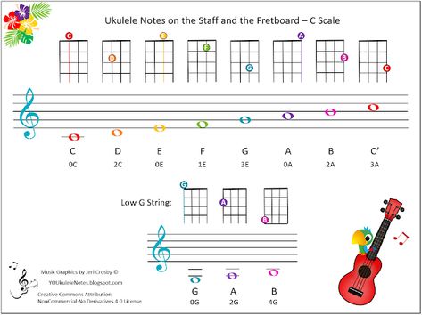 Jeri's YOUkulele Notes: Ukulele Notes on the Staff and Fretboard Ukulele Karate, Ukulele Scales, Ukulele Videos, Ukulele Tuner, Ukulele Tuning, James Bond Theme, Uke Songs, Ukulele Tabs, Bass Ukulele