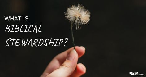 What is biblical stewardship? The biblical doctrine of stewardship defines a man’s relationship to God. Biblical Relationship, Biblical Stewardship, Bible Notes, Bible Study, A Man, Bible