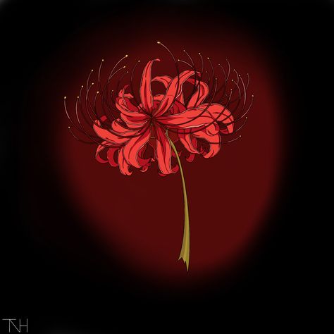 Higanbana Tattoo, Lilly Flower Tattoo, Spider Lilies, Lilies Drawing, Lily Flower Tattoos, Tattoo Apprenticeship, Anime Flower, Lily Wallpaper, Red Spider Lily