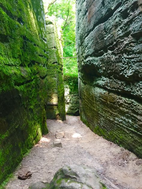 Bucket List With Friends, Forest Exploring, Illinois State Parks, Places To Paint, Shawnee National Forest, Illinois Travel, Escape Pod, Short Vacation, Garden Of The Gods