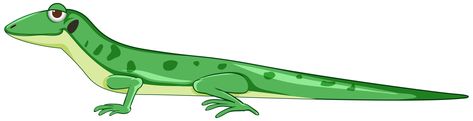 Lizard Clipart, Gecko, Cartoon Styles, Vector Art, Art Images, Template Design, Clip Art, Art