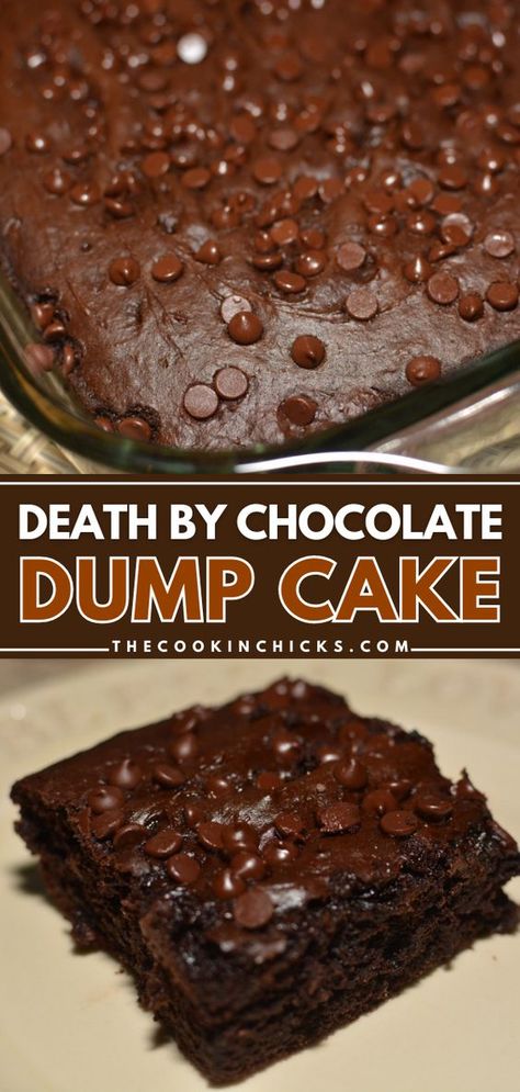 Dump Cake Recipes Chocolate, Chocolate Dump, Chocolate Dump Cake, Easy Dump Cake Recipe, The Cookin Chicks, Boxed Cake Mixes Recipes, Cake Mix Desserts, Gateaux Cake, Delicious Cake Recipes