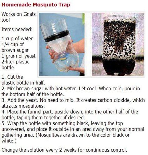 Homemade Mosquito Trap for Camping Trips! Mosquito Traps, Motorcycle Camping Gear, Diy Tent, Brown Cups, Mosquito Trap, Motorcycle Camping, Diy Camping, Camping Supplies, Camping Experience