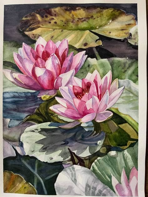 Waterlily Watercolor Painting, Paint Lotus Flower, Water Lily Art, Flowers Pottery, Water Lilies Art, Lilies Drawing, Water Lilies Painting, Pond Painting, Water Colour Art