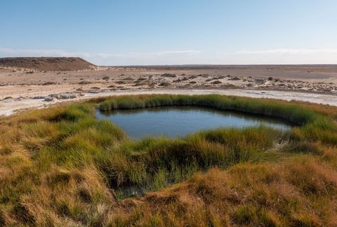 heuvelveer gevoed door een geboorde put in Zuid-Australië Artesian Well, Australian Continent, Lake Baikal, Torres Strait Islander, Indigenous Community, Northern Territory, South Australia, Great Lakes, New South Wales