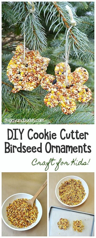 Natural Birthday Party, Homemade Party Favors, Seed Ornaments, Birdseed Ornaments, Market Day Ideas, Spring Gift Ideas, Bird Feeder Craft, Bird Seed Ornaments, Bird Birthday Parties