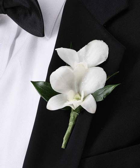 bout1 CBNW Featuring a cluster of exotic white dendrobium orchid blooms. White Orchids Wedding, White Dendrobium Orchids, Orchid Boutonniere, Atlanta Buckhead, Orchid Corsages, Flower Dictionary, Poinsettia Care, Dendrobium Orchid, White Boutonniere