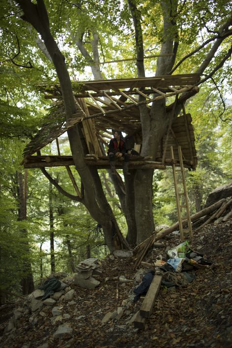 Abandoned Treehouse Aesthetic, Apocalypse Tree House, Cool Tree Houses Interior, Hang Out In The Woods, How To Build A Fort In The Woods, Secret Hideout In The Woods, Tree House Aesthetic Inside, Forest Tree House Aesthetic, Survivalist House