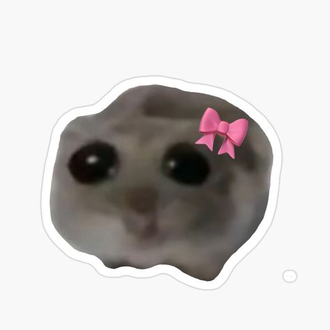 Hamster Meme, Imessage Sticker, Y2k Stickers, Funny Laptop Stickers, Preppy Stickers, Cute Laptop Stickers, Computer Sticker, Phone Stickers, Meme Stickers