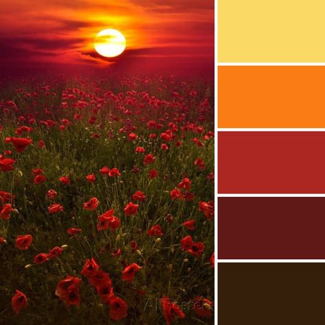 Warm Pallet Colors, Sunrise Pallet, Desert Sunset Color Palette, Sunset Pallet, Sunrise Color Palette, Style Tips And Tricks, August Colors, Sunset Color Palette, Blending Colored Pencils