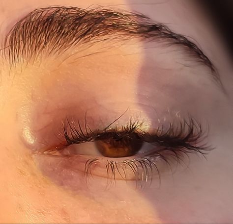 Arabian Eyes, Brown Eyes Aesthetic, Wax Roller, Eyes Aesthetic, Beautiful Eyes Color, Chinese Art Girl, Dark Brown Eyes, Aesthetic Eyes, Longer Eyelashes