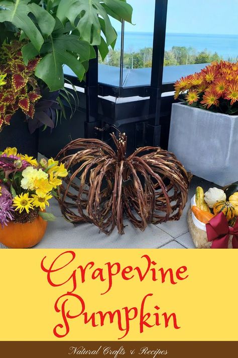 A grapevine pumpkin surrounded by fall decor Grapevine Chandelier Diy, Grapevine Pumpkin Diy, Grapevine Craft Ideas, How To Make A Grapevine Tree, Grape Vine Projects, Crafts With Grape Vines, Grapevine Crafts Projects, Grapevine Crafts Diy, Grapevine Tree Decorating Ideas