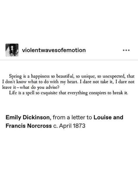 Classic Poetry, Philosophical Thoughts, Unspoken Words, Weird Stuff, 26 Letters, Wonderful Words, Amazing Quotes, She Said, My Chemical Romance