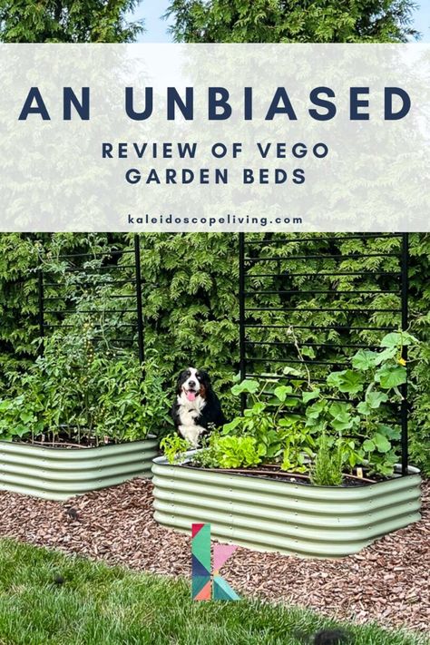 Gardening can be surprisingly fun, especially for families. But not everyone has a sprawling backyard that's perfect for planting. That's where raised garden beds come in handy! We purchased Vego garden beds a year ago and today I'm sharing our completely unbiased review of them. I'm sharing their pros and cons, materials, sizes, and configuration options. Vego garden beds are known for their durability, ease of use, and versatility, but are they right for you? Keep reading to find out! Vega Garden Beds, Vego Raised Garden Beds, Vego Garden Beds, Vego Garden Layouts, Making Raised Garden Beds, Modular Raised Garden Beds, Vego Garden, Garden Bed Layout, Inspiring Outdoor Spaces