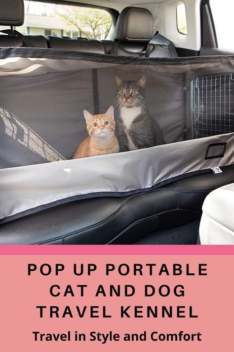 Cat Litter Box In Travel Trailer, How To Travel With A Cat In A Car, Traveling With Cats, Traveling With Cats On A Plane, Cat Ideas, Cat Travel Carrier, Cat Crate, Cat Kennel, Cat Patio