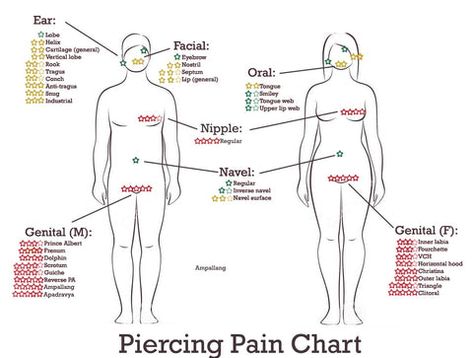 Piercing Pain Charts | Which body piercings hurt the most? – BodyJ4you Spiderbite Piercings, Pain Chart, Piercing Face, Ear Piercings Chart, Piercing Chart, Face Piercings, Inspiration Tattoo, Tattoos Geometric, Facial Piercings