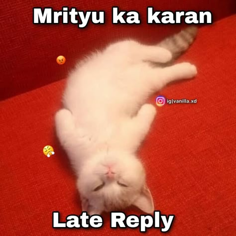 Desi Humor Quotes, Funny Faces Quotes, Funny Compliments, Funny Images With Quotes, Funny Dialogues, Funny Words To Say, Funny Attitude Quotes, Funny Girly Quote, Weird Quotes Funny