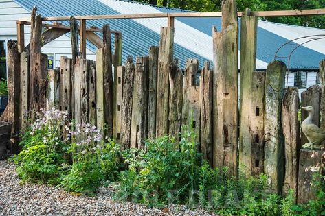 Raw Wood Fence, Reclaimed Wood Fence Ideas, Reclaimed Wood Fence, Driftwood Fence Ideas, Driftwood Fence, Stockade Fence, Rustic Garden Fence, Wood Fence Design, Citrus Garden