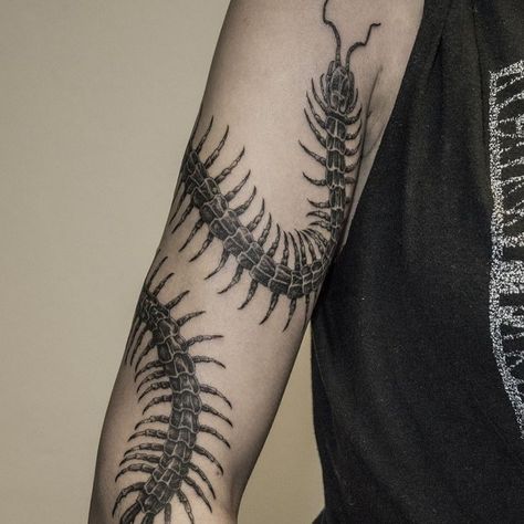 Centipede With Flowers Tattoo, Cute Centipede Tattoo, Centipede Sleeve Tattoo, Tattoo Ideas Centipede, Centipede Tattoo Around Arm, Insect Tattoo, Tattoos With Meaning, Leg Tattoos, Arm Tattoo