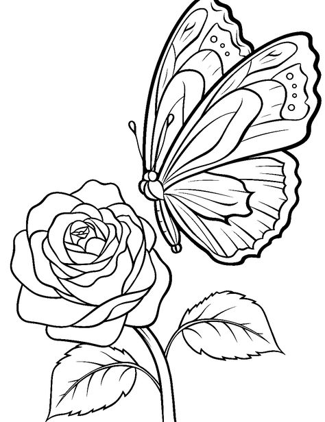 Butterfly Landing on a Petal: A delicate butterfly hovering over a lush rose petal. (Free Printable Coloring Page for Kids) Butterfly In A Flower Drawing, Rose Coloring Pages Free Printable, Adult Coloring Book Pages Free Printable, Coloring Pages Butterflies, Butterfly Colouring Pages, Cute Coloring Pages For Adults, Butterfly Coloring Pages Free Printable, Realistic Coloring Pages, Butterfly Drawing Outline