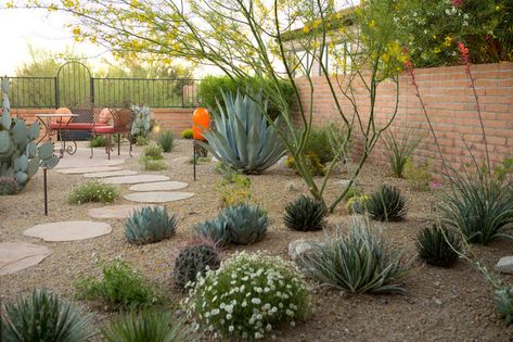 Desert Landscaping Backyard, Desert Landscape Design, Low Water Landscaping, Desert Backyard, Gravel Landscaping, Succulent Landscape Design, Landscaping Backyard, Small Front Yard Landscaping, Drought Tolerant Landscape