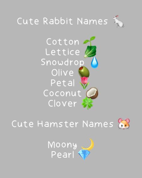 Top 100 Names, Hamster Names, Rabbit Names, Hamster Cages, Animal Icon, Cute Names, Cute Hamsters, Cute Rabbit, Cool Names