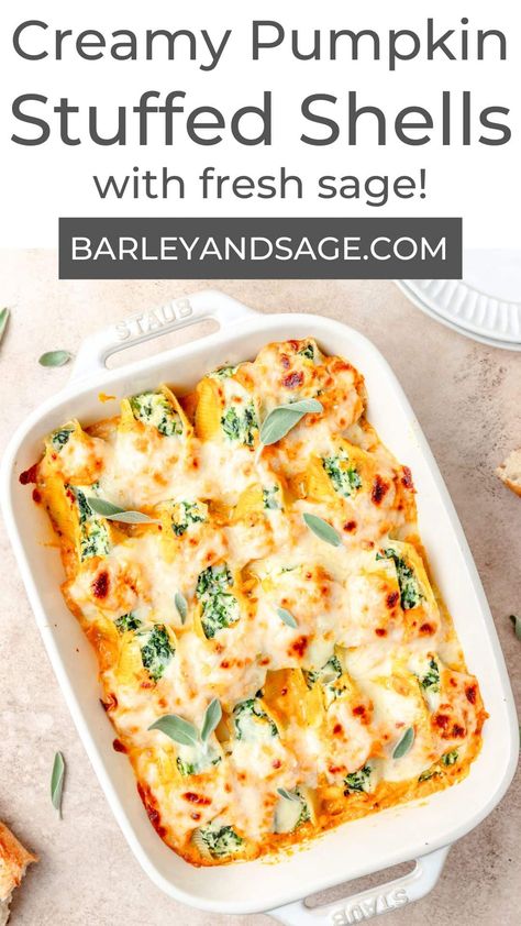 These pumpkin stuffed shells are filled with spiced ricotta and spinach, then smothered in a creamy pumpkin sauce! A cozy twist on classic stuffed shells, they're the perfect vegetarian fall dinner! Pumpkin Stuffed Shells, Shell Pasta Recipes, Spinach Stuffed Shells, Stuffed Shells Ricotta, Pumpkin Sauce, Stuffed Shells Recipe, Fall Dinner Recipes, Stuffed Pasta Shells, Fall Dinner