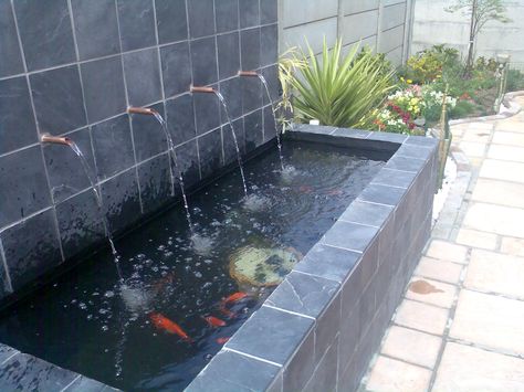 formal koi pond | formal pond in cape town south africa the pond was hot and koi were ... Koi Pond Entrance Home, Formal Pond, Rectangle Koi Pond, Long Narrow Koi Pond, Duck Ponds, Raised Koi Pond, Pond Backyard, Koi Pond Backyard, Turtle And Koi Pond