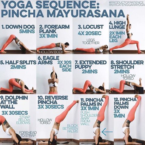 Erica Tenggara on Instagram: “YOGA SEQUENCE: PINCHA MAYURASANA Warm up: SUN A & B x5 1. DOWN DOG You need strong shoulders for pincha & this will def train that 2.…” Yoga Sequencing, Cat Cow, Ashtanga Vinyasa Yoga, Yoga Ashtanga, Yoga Goals, Yoga Kundalini, Muscle Abdominal, Yoga Flows, Camel Pose