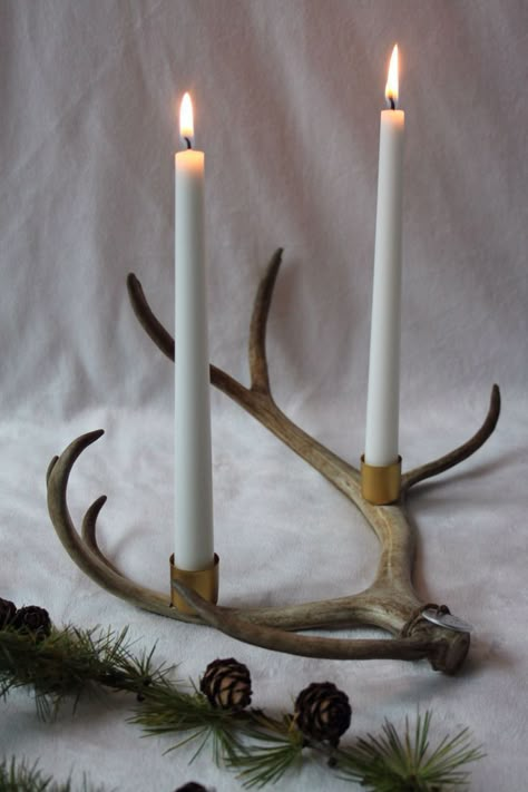 Deer Antler Crafts Ideas, Deer Shed Ideas, Deer Horn Decor, Diy Projects Using Pallets, Deer Antler Art, Antler Diy, After Christmas Winter Decor, Cheese Names, Horn Decor