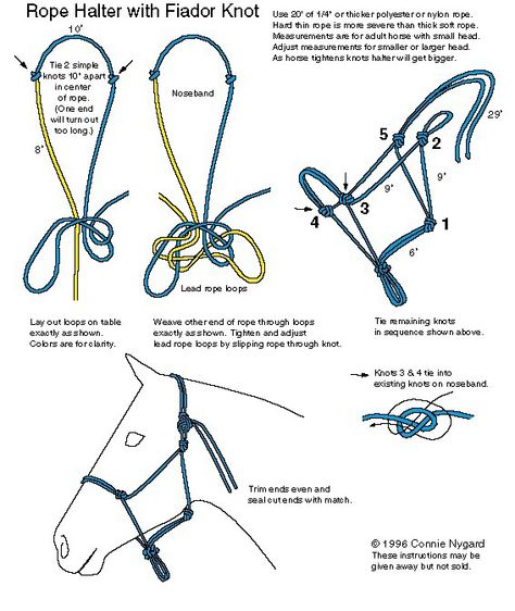 Rope halter Fiador Knot, Horse Tack Diy, Hantverk Diy, Horse Information, Horse Halters, Horse Halter, Rope Halter, Natural Horsemanship, Horse Equipment