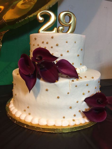 29th Birthday Cake 29th Anniversary Cake, 29 Th Birthday Cake, 29 Birthday Cake For Her, Hello 29 Birthday, 29th Birthday Cakes For Him, 29th Birthday Ideas For Her, 29 Birthday Cake, 29th Birthday Cake, Happy 29th Anniversary