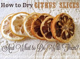 Dehydrating Lemons, Dehydrate Recipes, Dehydrated Oranges, Dehydrator Recipes Fruit, Survival Storage, Dehydrated Recipes, Dehydrating Food Storage, Dehydrated Fruits, Food Dehydration