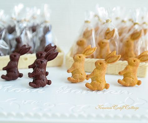 Easter Biscuits, Miniature Food Tutorials, Rabbit Cookies, Cookie Bags, Rabbit Easter, Biscuit Cookies, Handmade Miniatures, Fake Food, Mini Foods