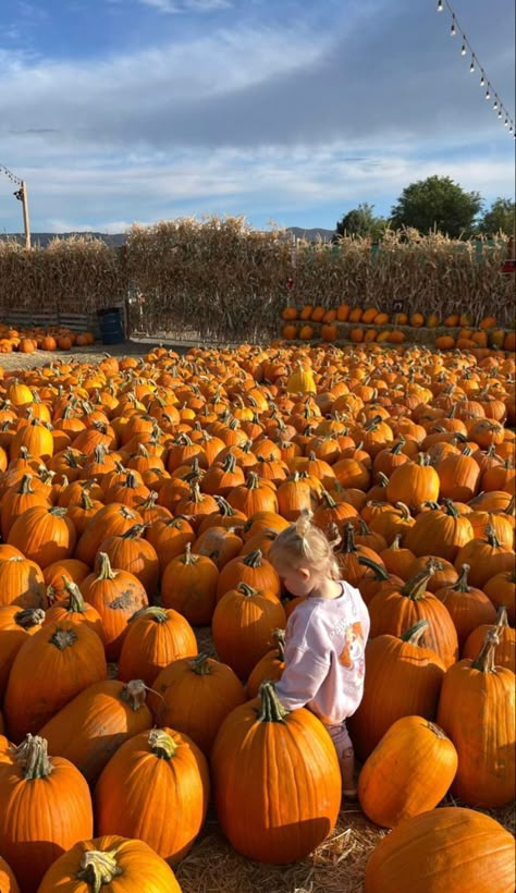 Fall Mom Aesthetic, Halloween Traditions Family, Pumpkin Patch Pictures Kids, Toddler Pumpkin Patch Photos, Pumpkin Patch Pictures Baby, Family Pumpkin Patch Pictures, Utah Fall, Pumpkin Patch Kids, Fall Baby Pictures