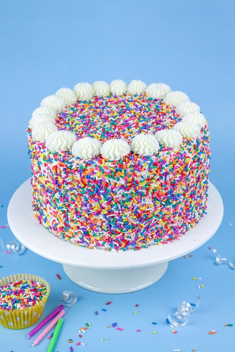 Cake Decorating Sprinkles, Tiffany Blue Cakes, Rainbow Sprinkle Cakes, Sprinkle Birthday, Colorful Birthday Cake, Sprinkles Birthday Cake, Decorate Cake, Sprinkles Cake, Easy Vanilla Cake Recipe