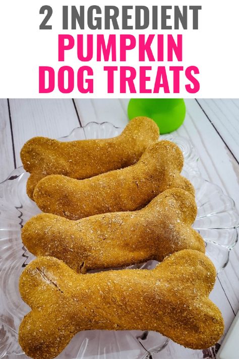 Pumpkin Dog Treat Recipe Easy, Canned Pumpkin Dog Recipes, Pumpkin Dog Treats With Oat Flour, Pumpkin Seed Dog Treats, Pumpkin Cookies For Dogs Doggie Treats, Pumpkin Oat Flour Dog Treats, Pumpkin Dog Treats Easy No Flour, Puppy Treats Homemade Easy Pumpkin, Pumpkin Recipes For Dogs Doggie Treats