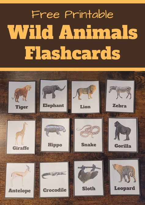 Pin text reads, free printable wild animals flashcards and image shows them. Wild Animal Art Preschool, Animal Activities Preschool, Zoo Animals Flashcards, Safari Sensory Bin, Animal Preschool Activities, Busy Toddler Activities, Wild Animals Flashcards, Animal Activities For Toddlers, Animals Flashcards For Kids