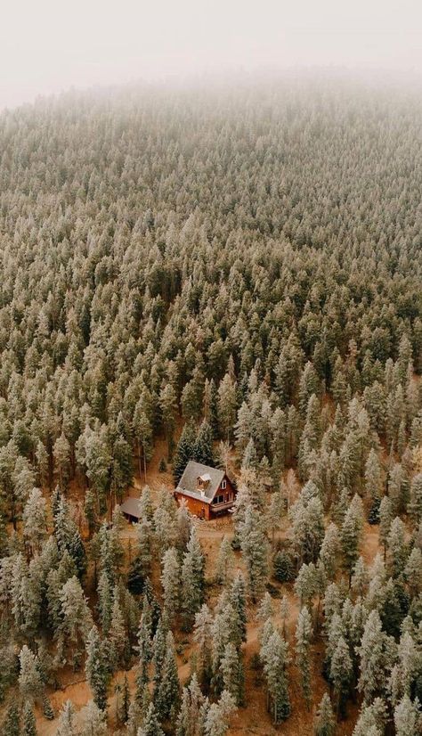 Wait For, Ecological House, Little Cabin In The Woods, Cabin Aesthetic, Cozy Cabins, Little Cabin, A Cabin, Cabin Style, Cabin In The Woods