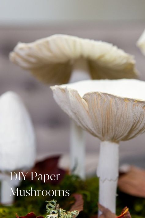 Image shows a close up picture of handmade paper mushrooms with a moss-covered bottom to replicate the floor of an autumnal forest. There is white text on the bottom left corner that says DIY Paper Mushrooms. Paper Mushrooms Diy, Paper Mushrooms, Mushrooms Diy, Diy Crafts Tutorials, Mushroom Crafts, Summer Camp Crafts, Paper Plants, Paper Flower Crafts, Alice In Wonderland Tea Party