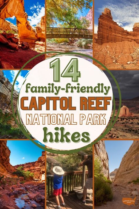 Capitol Reef National Park: 14 Best Family-Friendly Hikes #familytravel #usnationalparks #canyonlands #capitolreefnationalpark #capitolreef #capitolreefnp #familyhikes #familyhiking #visitutah #utah Capital Reef National Park, April Vacation, Utah Trip, Visit Utah, Usa Trip, Utah Road Trip, Capitol Reef, Capitol Reef National Park, National Park Road Trip