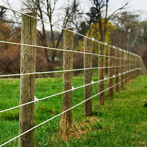 Coated Wire Fence Temporary Fence For Dogs, Rural Fencing, Agricultural Fencing, Cow Pen, Different Types Of Fences, Horse Fence, Field Fence, Horse Arena, Horse Barn Plans