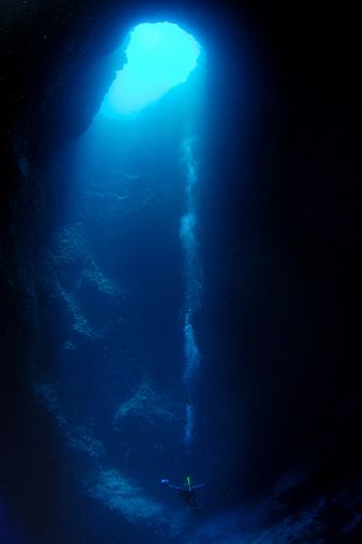 Underwater Photographer Jenny Huang's Gallery: Portfolio: Prayer inside Blue Hole - DivePhotoGuide.com Ariels Grotto, Great Blue Hole, Marianas Trench, Underwater Photographer, Blue Hole, James Cameron, Up Book, Ocean Painting, Palau