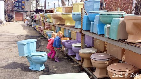 In Denver Colorado @ Do-It-Ur-Self Plumbing - a vast land of colored toilets! Love it! Purple Toilet, Gold Bathrooms, Retro Bathroom Ideas, Toilet Commode, British Bathroom, Colored Toilets, Bathroom Stuff, Retro Bathrooms, Retro Renovation