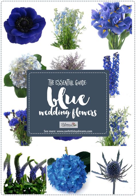 The Essential Blue Wedding Flowers Guide: Types of Blue Flowers, Names, Seasons + Pics. Get flower names and ideas for blooms to use for your bouquet, boutonniere, centerpieces and more!  #bluewedding #navywedding #blueweddingflowers #blueflowers #weddingflowers #flowernames #wedding #confettidaydreams #weddingideas #diywedding #weddingplanning Wedding Flower Arrangements Navy Blue, Blue Flowers For Bouquet, Blue Flowers For Wedding Bouquet, Flowers Available In December, Navy Wedding Florals, Wedding Bouquets With Blue Flowers, Navy Blue Purple And White Wedding, Navy Flowers Wedding, June Wedding Flowers Blue