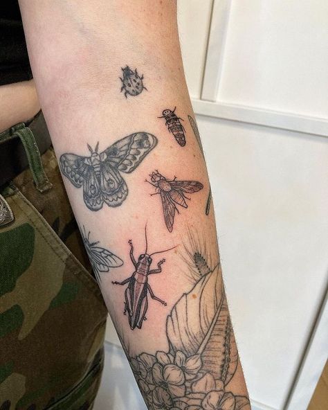 Insect Forearm Tattoo, Insect Patchwork Sleeve, Full Nature Sleeve Tattoo, Bugs Sleeve Tattoo, Bug Themed Tattoo Sleeve, Bug Patchwork Sleeve Tattoo, Insect Leg Tattoo, Traditional Mantis Tattoo, Fine Line Insect Tattoo