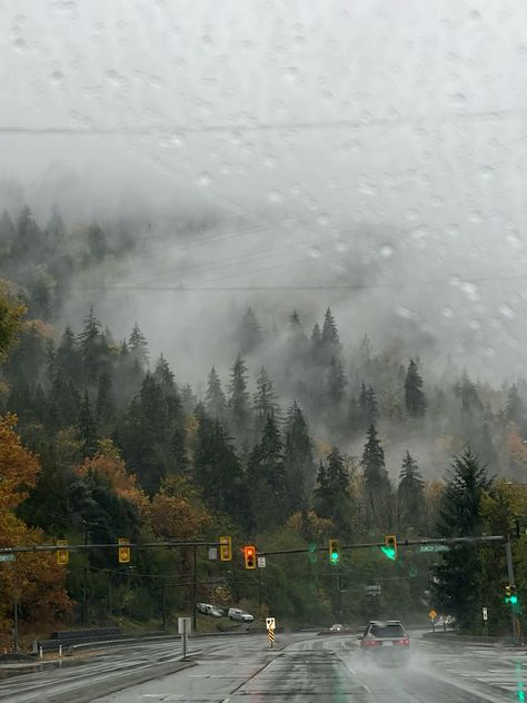 Autumn In Vancouver, Vancouver Fall Aesthetic, Vancouver Autumn, Vancouver Canada Aesthetic, Fall Vancouver, Vancouver Aesthetic, Vancouver Rain, Vancouver Life, Fog Aesthetic